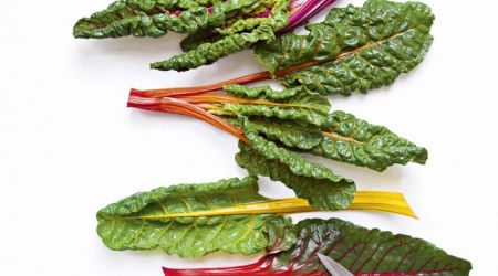 Chard