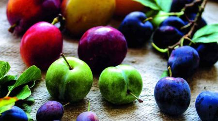Plums